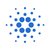 ADA icon