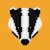 BADGER icon