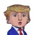 BARRON icon
