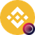Binance Coin (Wormhole) icon