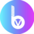 BitValley icon