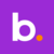 BNS icon