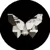 BTRFLY icon