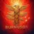 BURNUS icon