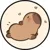 C icon