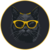 CATA icon