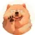 CHOW icon