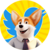 CORGI CEO icon