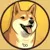DOGE20 icon