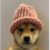 DOGWIFHAT icon