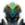 FlexMeme icon