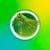 Green Grass Hopper icon