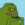Groyper icon