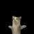 HAPPY icon