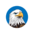 Hawk icon