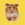 Hamster Champ icon