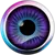 INVA icon