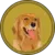 Izzy icon