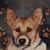 Ken-chan icon