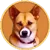KEN icon