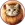 Lion Cat icon