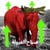 STRE icon
