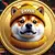 NWIF icon