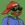 Peezy icon