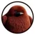 Pesto The Baby K icon