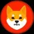 SANIN icon