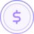 Savvy USD icon