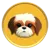 $SHIHT icon