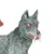 WOLF SKULL icon