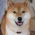 TAIKI icon